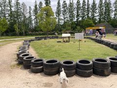 -前小桔亲子创意农场·草莓采摘·露营烧烤