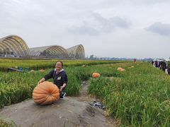 -中国天府农业博览园