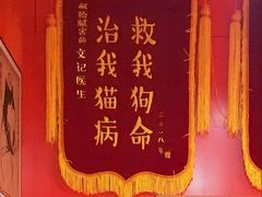 -安安宠医宠物医院·异宠·犬猫内科(岳阳分院)