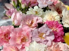 -循礼门鲜花花市(武汉循礼门店)