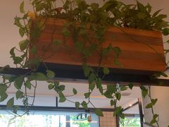 -新旺茶餐厅·早餐·夜宵(仙霞店)
