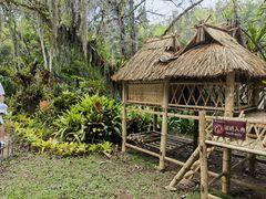 -中国科学院西双版纳热带植物园