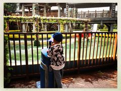 -郑州方特梦幻王国