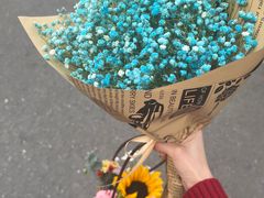 -循礼门鲜花花市(武汉循礼门店)