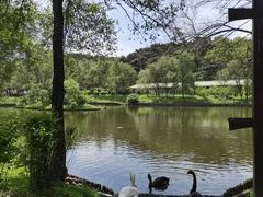-沈阳森林动物园