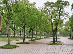 -新江湾城公园