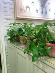 -金色童年儿童摄影(中海店)