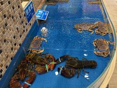 -双井轩(双井店)