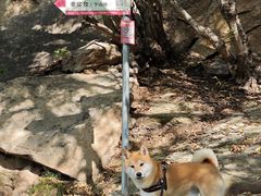-北京密云天门山风景区