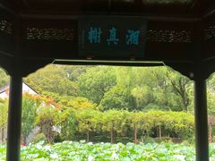 -上海醉白池公园