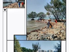 -宝安西湾红树林湿地公园