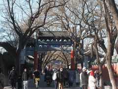 -北京国子监胡同