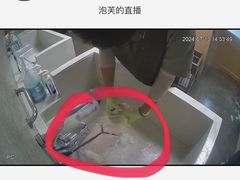 -帕帕拉兹宠物(亚洲旗舰店)