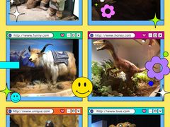 -正佳自然科学博物馆