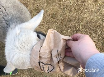 单独进去还需要支付180元5人，每人36