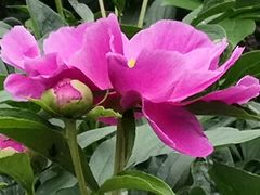 -合肥三国新城遗址公园