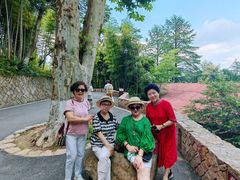-莫干山风景区