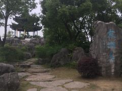 -贡湖湾湿地公园