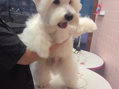 -FAELING PETS美天灵宠物(富力广场店)