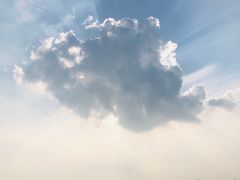 -日照海滨国家森林公园
