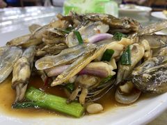 姜葱炒圣子-明记海鲜大排档(巽寮湾店)