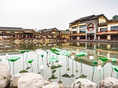 -诗经里