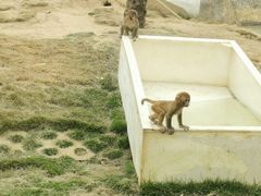 -武汉紫薇都市田园