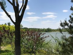 -东郊湿地公园