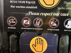 -怀托摩萤火虫洞