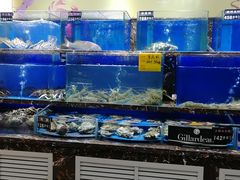 水产区-河马鲜生海鲜超市(风荷园店)