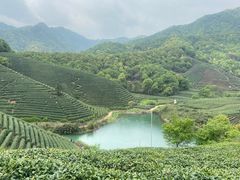 -龙坞茶村