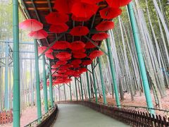 -陶祖圣境风景区