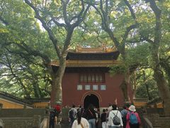 -普陀山风景名胜区-法雨禅寺