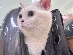 -联合动物医院(光谷诊疗中心)