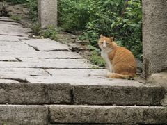 -北京凤凰岭