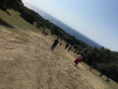 -鹅銮鼻公园