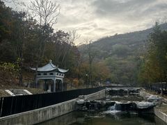 -白水寺森林公园