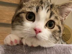 -好利来(龙首印象城店)