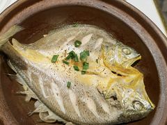 88秒小黄鱼-桐爷小馆(广渠门店)