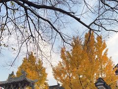 -惠山古镇·寄畅园