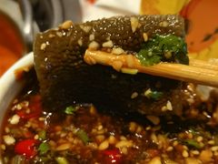 -龍歌自助小火锅(李沧顺和汇店)