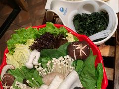 -额尔敦传统涮(公园西路店)