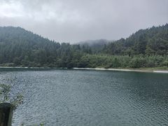 -武陵山森林公园