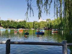 -莲湖公园