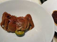 -绿波廊(豫园店)