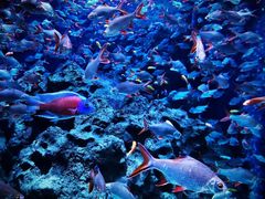 -成都浩海立方海洋公园