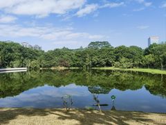 -东莞植物园