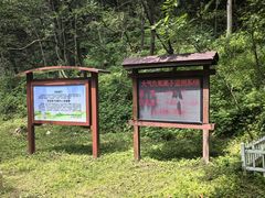 -牛背梁国家森林公园