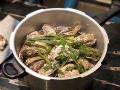 -千岛蚝高压锅生蚝·人参火锅(白云万达店)