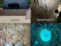 -中国西峡恐龙遗迹园